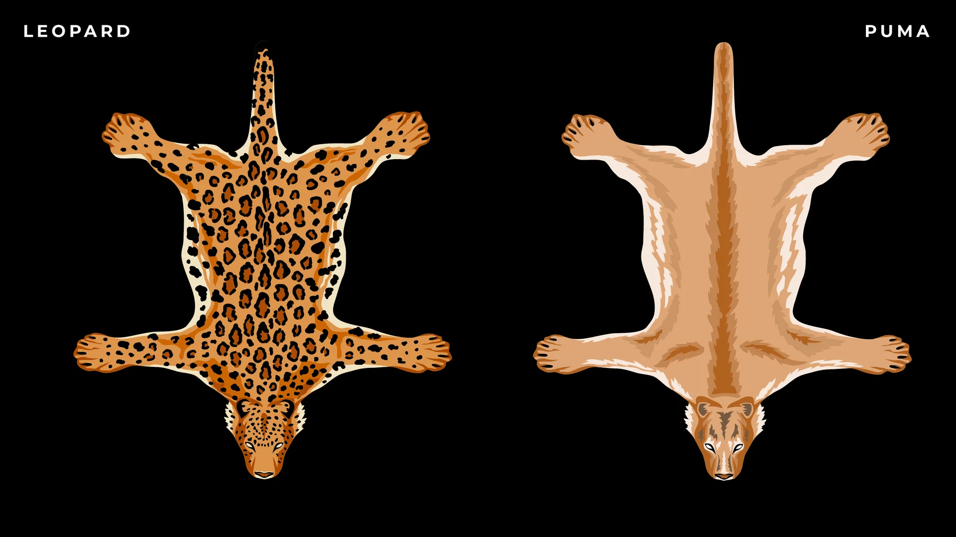 Pelt rug designs, board 3