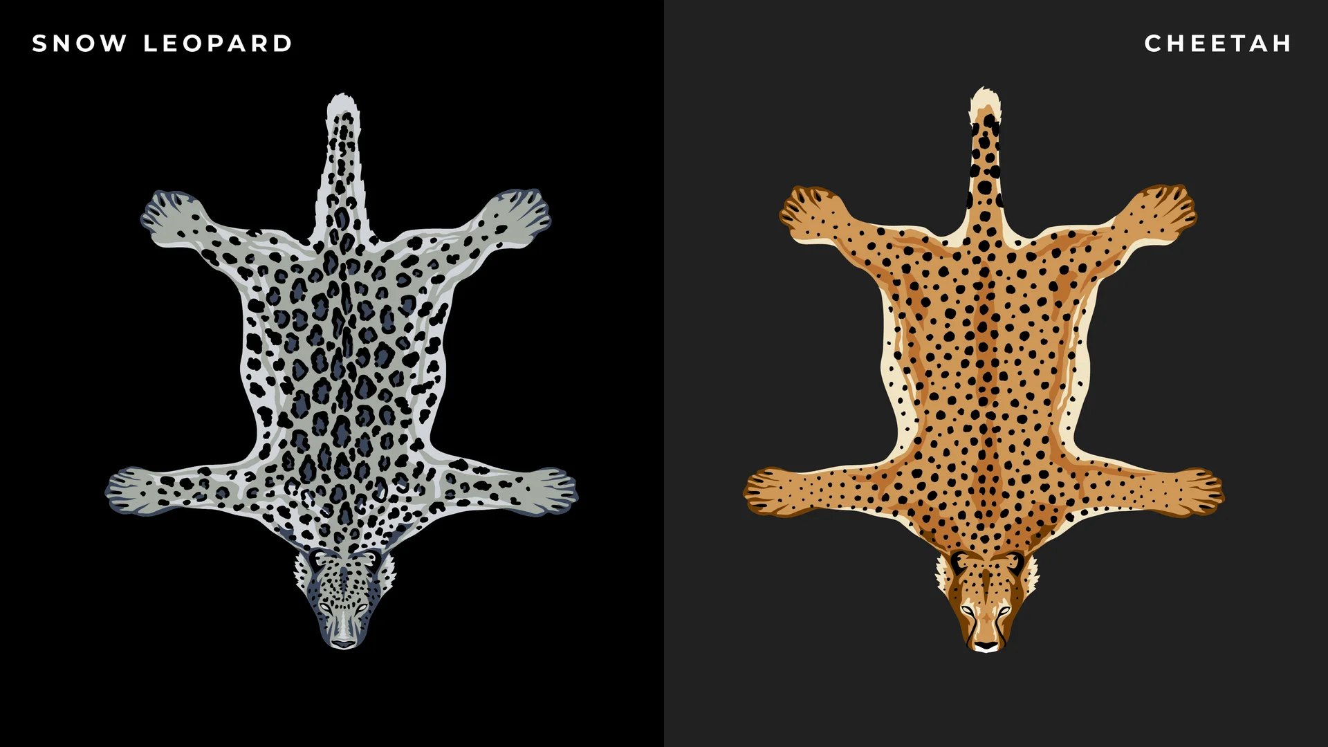 Pelt rug designs, board 4