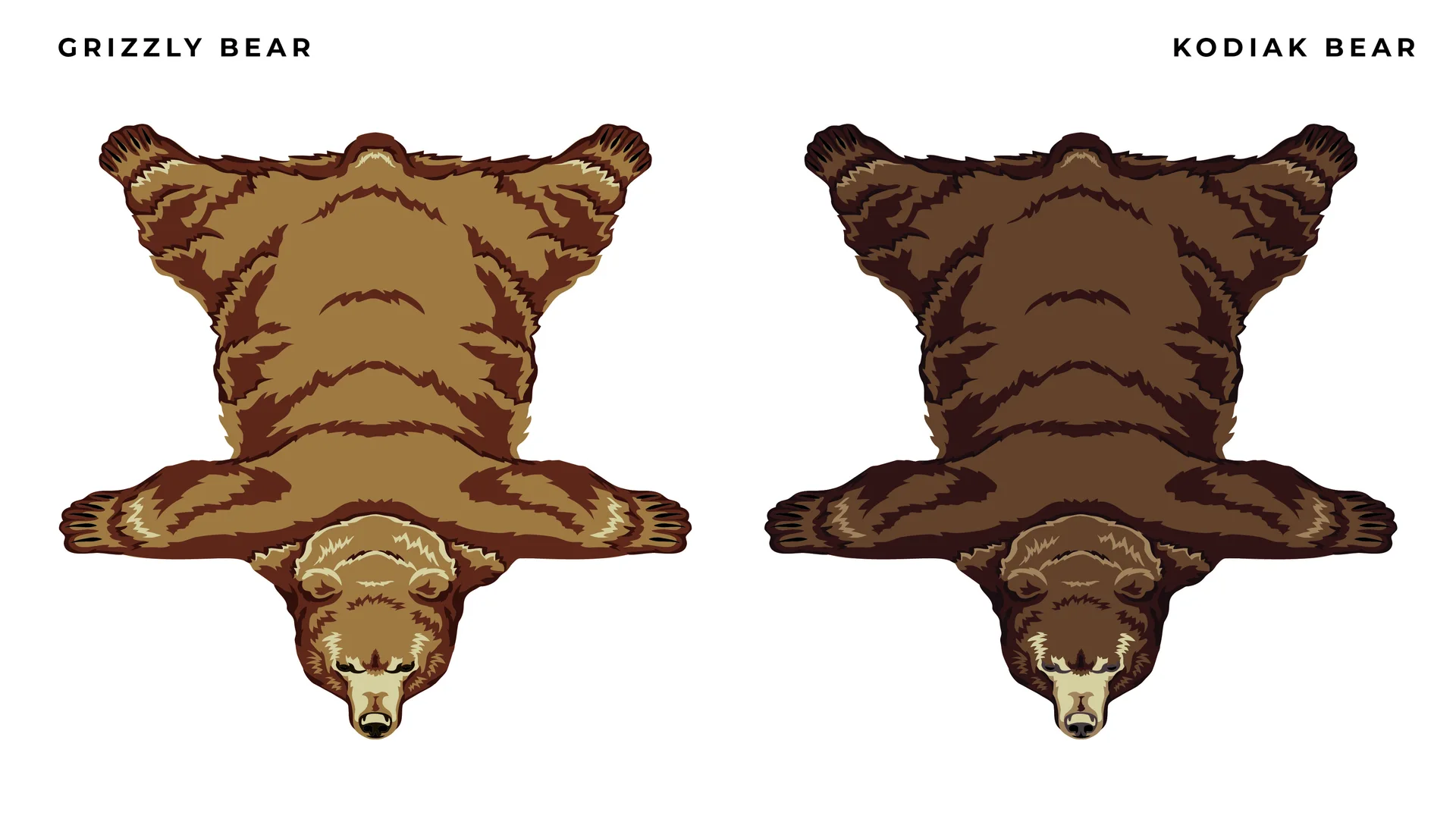 Pelt rug designs, board 6
