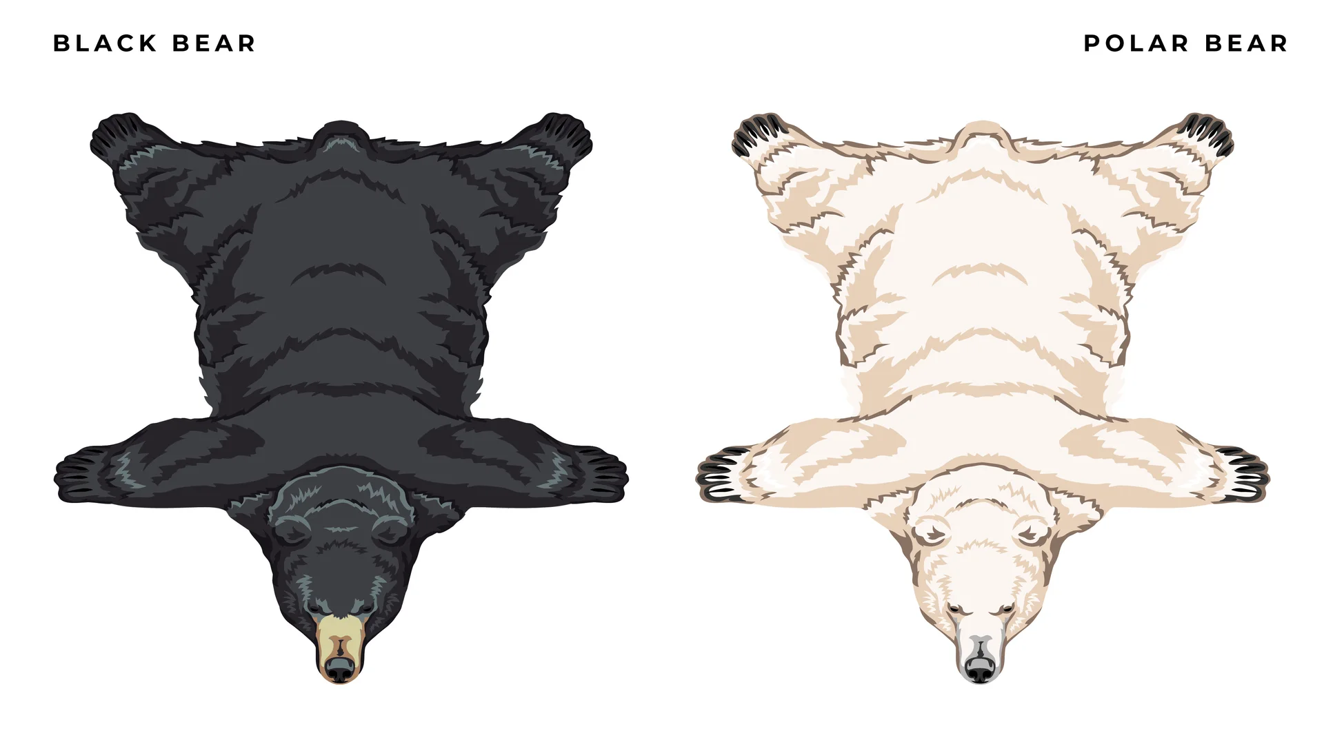 Pelt rug designs, board 7